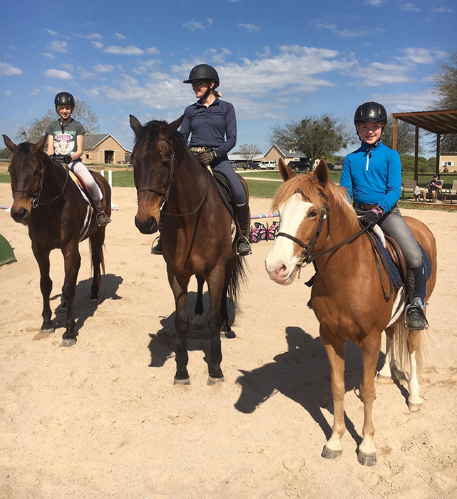 Horse Trainer Monarch Stables